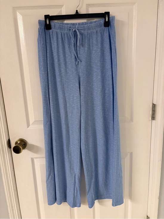 American Eagle Outfitters Pants - new american eagle Light Blue Women's Wide Leg Drawstring Pants